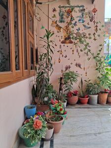 Image of 420 Sq.ft 1 RK Studio for rent in Ghat Ki Guni, Jaipur for Rs. 9600