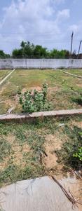 Image of 553 Sq.ft Residential Plot / Land for sale in Koba, Gandhinagar for Rs. 37051000