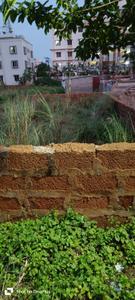 Tamando Plot View 1
