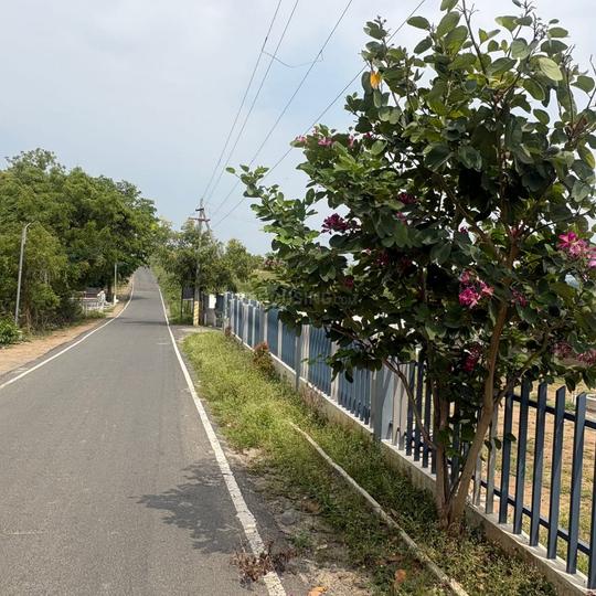 Karamadai Main Image 1