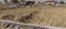 Uberiya Main Image 1