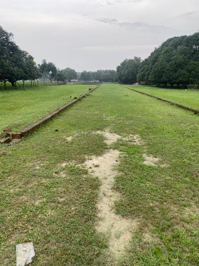 PARA SITE LUCKNOW Main Image 1
