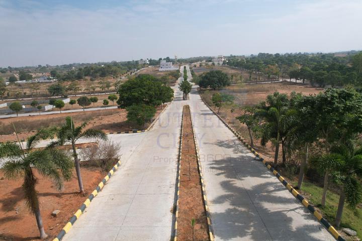 Fortune Butterfly City Main Image 1