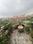 Sector 6 Dwarka Main Image 1