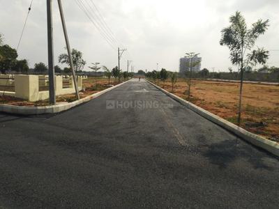 Residential Plot