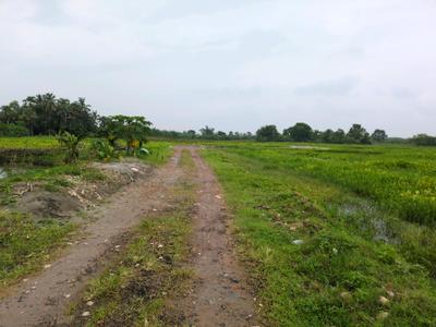 Image of 1800 Sq.ft Residential Plot / Land for sale in Joka, Kolkata for Rs. 425063