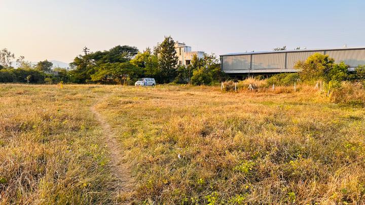 N A Plots Main Image 1