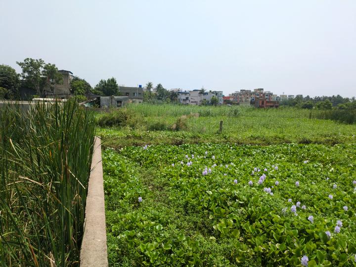 Sonargaon 2 Main Image 1