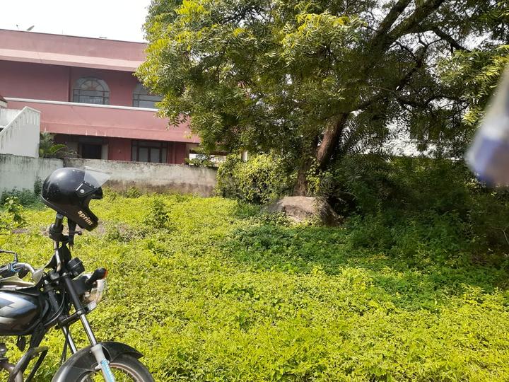 ROYAL RAJPUTANA CO Main Image 1