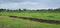 Janori Main Image 1