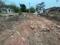 Jamukoli Main Image 1