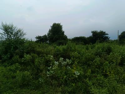 Image of 64 Sq.ft Residential Plot / Land for sale in Sector 34 Rohini, New Delhi for Rs. 13000000