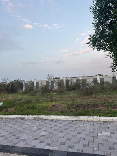 Silicon Sansaara Main Image 1