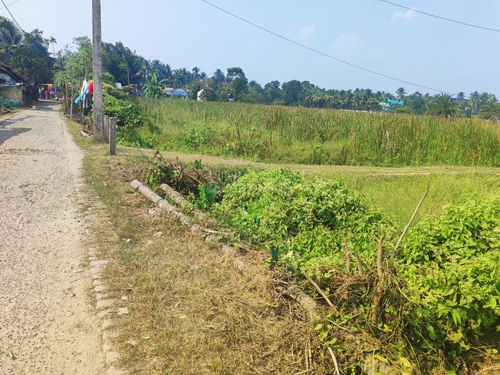 Uluberia Main Image 1