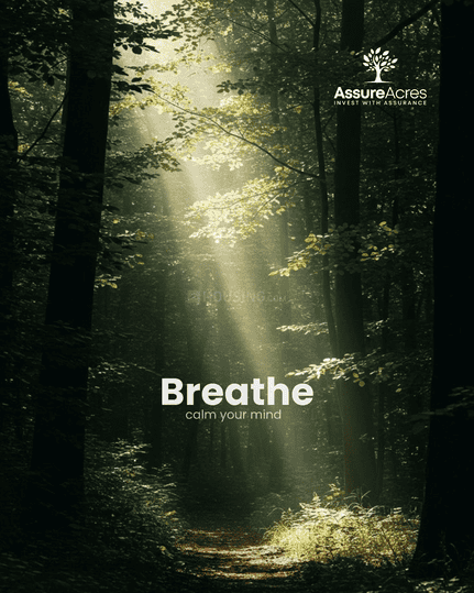 Bassi Naaga Main Image 1