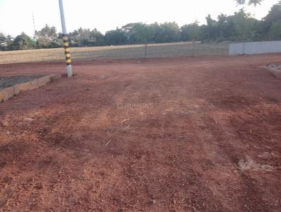 Satyabhamapur Plot View 1