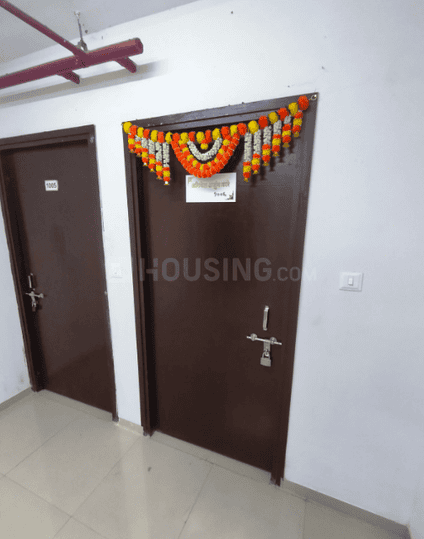 highland pearl dokali More Images 1