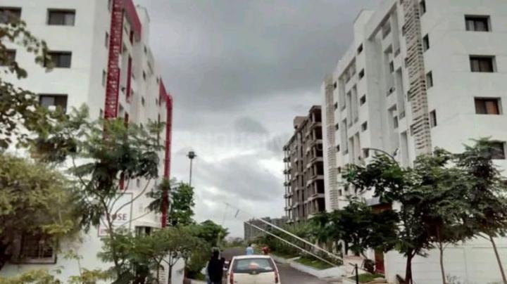 The rose society Main Image 1