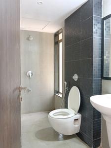Common Bathroom Image of 650 Sq.ft 2 BHK Apartment / Flat for rent in Lodha Splendora, Thane West Thane for Rs. 27000