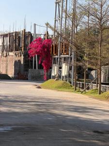 Image of 2350 Sq.ft 3.5 BHK Duplex for sale in Rajul Aashiyana, Bilhari, Jabalpur for Rs. 11500000