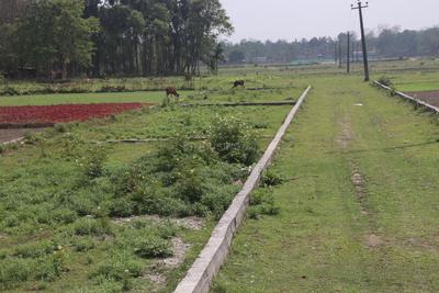 Image of 720 Sq.ft Residential Plot / Land for sale in Ranga Pani, Siliguri for Rs. 699000