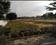 Image of 1200 Sq.ft Residential Plot / Land for sale in Shubham Garden, Chandapura, Bangalore for Rs. 4440000