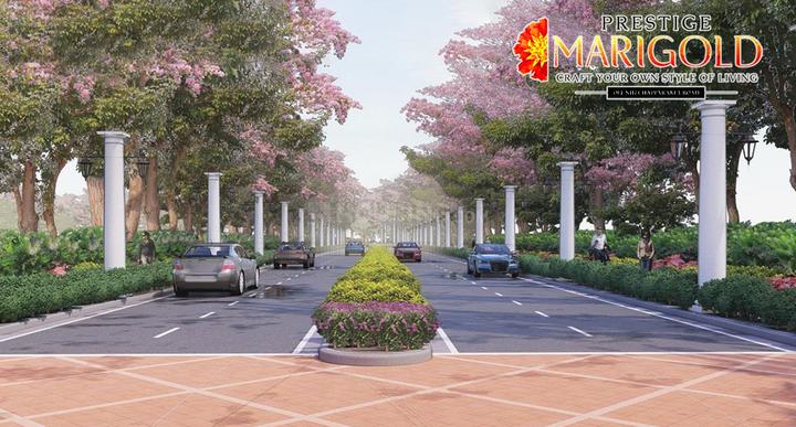 Prestige Marigold Phase I Main Image 1