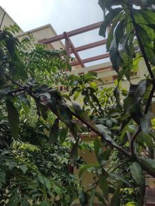 Balcony Image of 2000 Sq.ft 3 BHK Villa for rent in Namishree Dream Valley, Sivarampalli Hyderabad for Rs. 36000