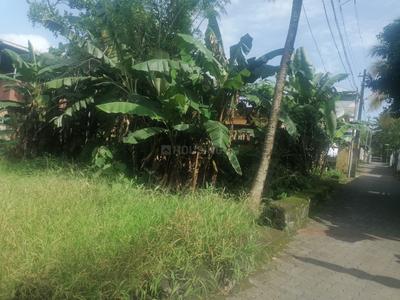 Platinum Pearl and Coral Plot View 1