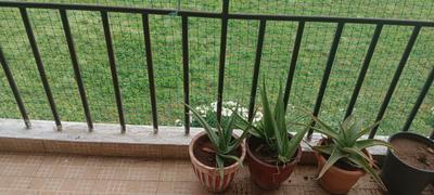 Balcony Image of 1100 Sq.ft 2 BHK Apartment / Flat for rent in Neeraja Sarovar, Battarahalli Bengaluru for Rs. 30000