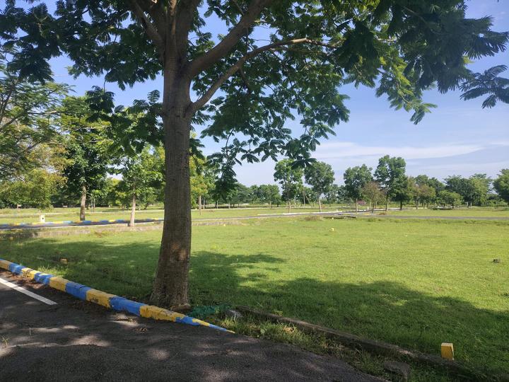 Royal RLD Royal Solitaire Main Image 1