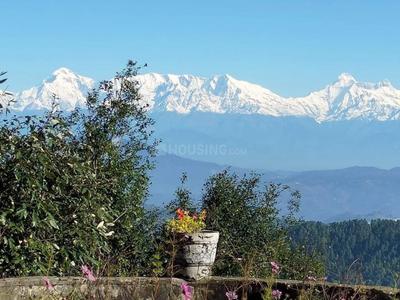 Image of 2160 Sq.ft Residential Plot / Land for sale in Mukteshwar, Nainital for Rs. 2500000