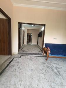 Hall Image of 2069 Sq.ft 3 BHK Builder Floor for rent in Sector 40 Gurgaon for Rs. 36000