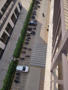 Image of 450 Sq.ft 1 BHK Apartment / Flat for rent in ROF Amaltas, Sector 92, Gurgaon for Rs. 12700