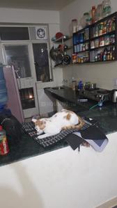 Kitchen Image of Coliving in Sector 99A, Gurgaon