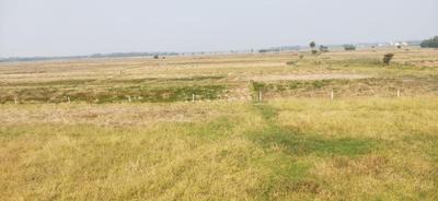 Image of 1300 Sq.ft Residential Plot / Land for sale in Atharanala, Puri for Rs. 1300000