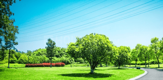 Thagarapuvalasa Main Image 1