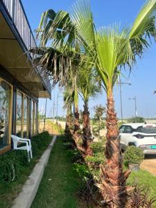 Image of 1100 Sq.ft Residential Plot / Land for sale in Mahlan, Jaipur for Rs. 1943298