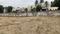 Vandalur Plot View 2
