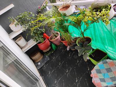 Balcony Image of 1180 Sq.ft 2 BHK Apartment / Flat for sale in SLV Magnum, Bommanahalli Bengaluru for Rs. 12500000