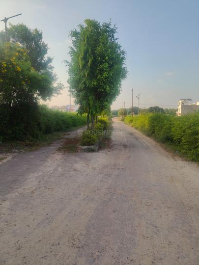 Mohanlalganj Main Image 1
