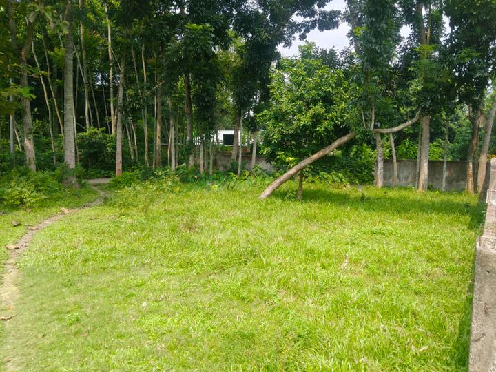 Krishnanagar Main Image 1