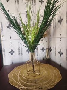 Image of My Pg Residency in Mayur Vihar II, New Delhi