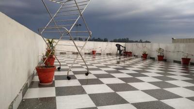 Balcony Image of Sharma pg in Sector 54, Mohali