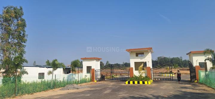 Gosainganj Plot View 1