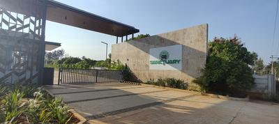 SANCTURY Plot View 2