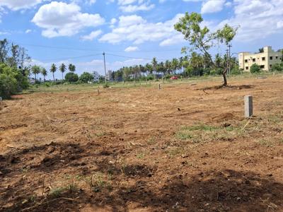 Residential Plot