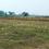 Bihta Main Image 1
