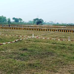 Bihta Plot View 1