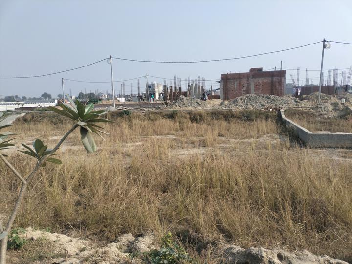 Golden city Main Image 1